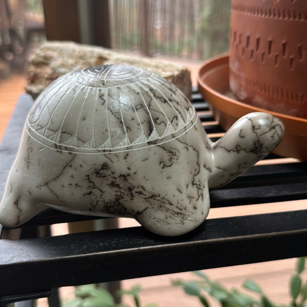 Navajo handmade horsehair pottery signed by the artist - Turtle